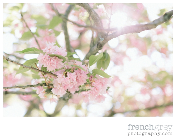 French Grey Photography Paris Elopement 058